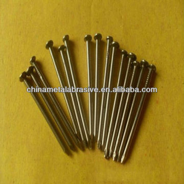 Common iron wire nail (FACTORY)