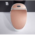 Toilet And Matching Bidet Intelligent Water Closed Rose Gold Toilet