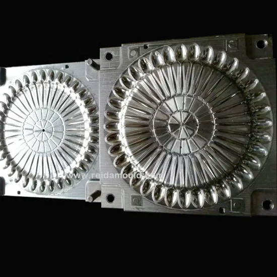 High Quality Disposable Plastic Spoon Injection Mold - Professional Custom