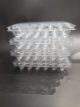 Plastic Egg Tray Recyclable Pet Egg Box