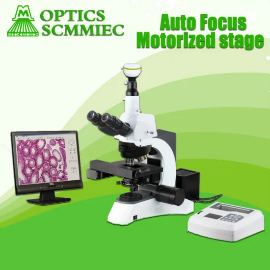 SC-N800D Trinocular biological auto digital microscope with motorized stage and Auto Focus 3.0MP camera