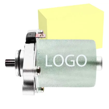 High Quality Factory PEP Scooter Motors: PEP Plus, Streak, Zest, and Electric Self-Starter Motor Assay