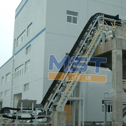 EE Baggage Conveyor Belt