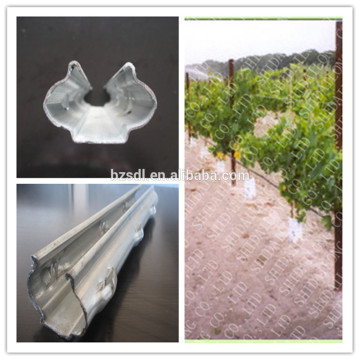 Chinese factory galvanized steel vineyard grape stakes/grape stake fencing