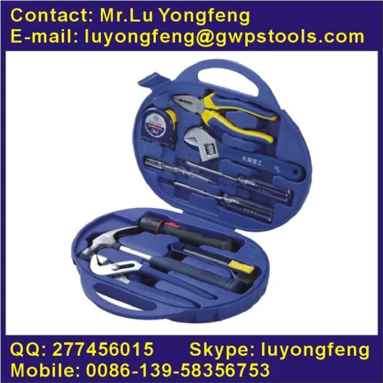 11pcs DIY Tool Kit in Blow Case