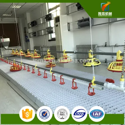 Factory Full automatic systems poultry control shed farm equipments
