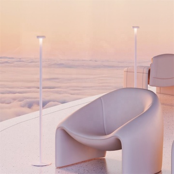 Minimalist Style Hotel Gold Battery Floor Lamp for Modern Living Room