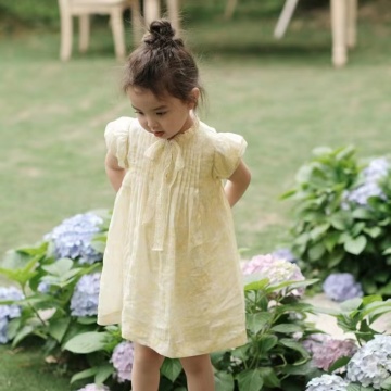 幼児の子供の女の女の子の夏のお姫様ドレス