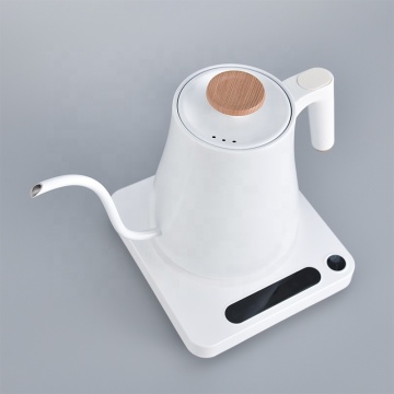 Intelligent Gooseneck Electric Kettle: Stainless Steel 600Ml for Pour Over Coffee and Alexa Control