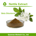 Nettle Leaf Extract Beta Sitosterol 1% Powder