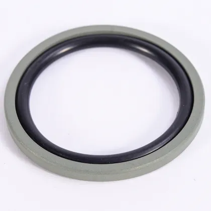 Professional Design Hydraulic Piston Compact Seal