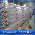 Kapasiti Cangkerang Quail Cage Galvanized Wire