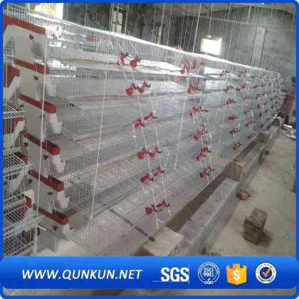 Automatic quail cage/quail battery cages/quail farm cage
