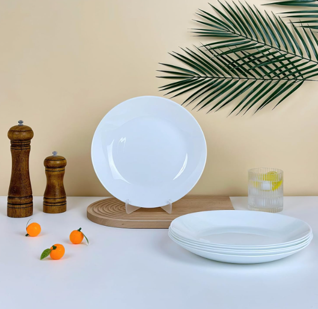 Minimalist Dinner Plate for Modern Dining