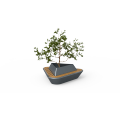 Square greenery seating area
