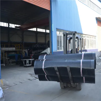Dimple Waterproof Drainage Board HDPE Drainage Board