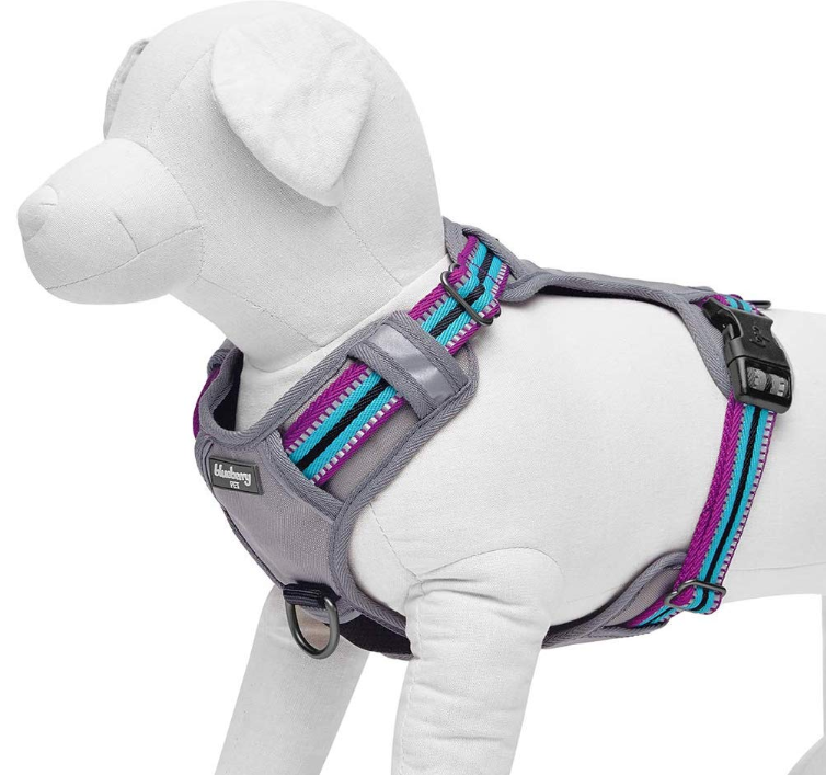 Multi-Colored Stripe Dog Harness