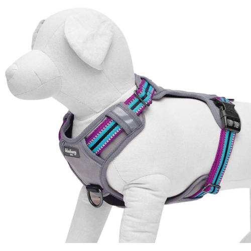 Multi-warna Stripe Dog Harness