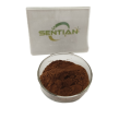 Salvia Miltiorrhiz Root Extract 5% 10% tanshinone iia