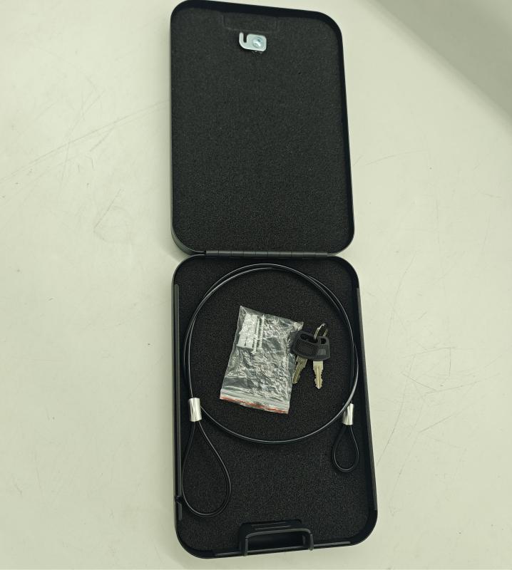 Compact Handgun Safe for Car