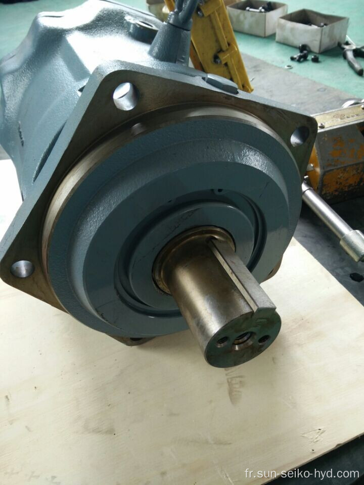 Le moteur hydraulique de la série Dowmax ME100 / 150/175, une sortie de couple élevée, une basse vitesse et un trou stable à 9 trous