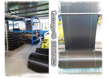 High Quality Film Grade Black Masterbatch