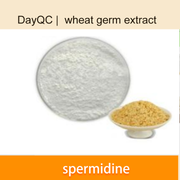 قمح Spermidine Tgerm مستخلص