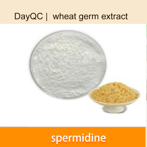 spermidine wheat tgerm extract