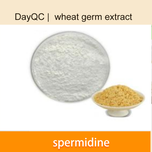 extracto de tgerm de trigo espermidina