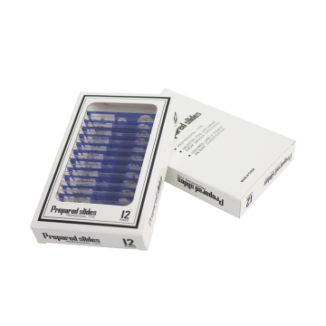 12 Kinds of Insect Microscope Slides for Children's Biological Learning