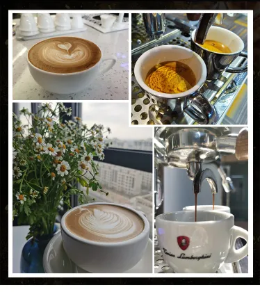 Single Group Semi Automatic Commercial Coffee Machine