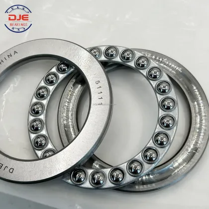 DJE 51110 Search Engine