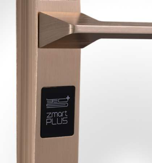 Smart Face Biometric Lock with camera