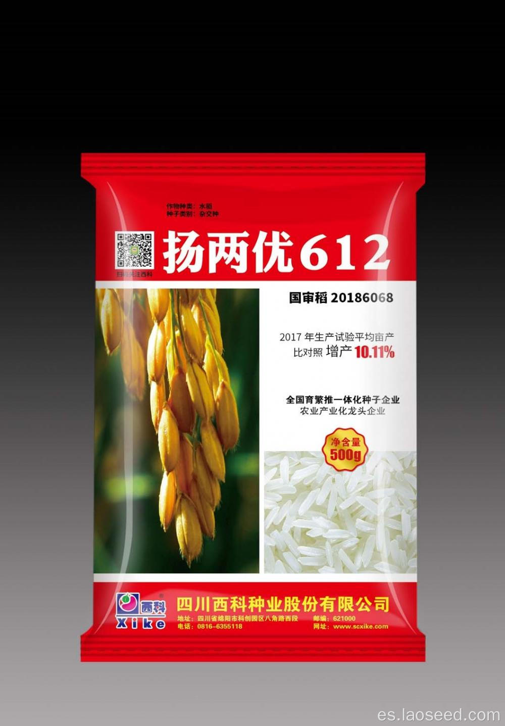 Semilla de arroz natual Yangliangygou 612