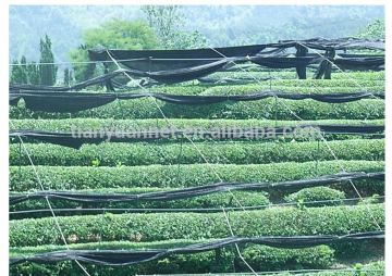 China new shade net/green shade net/HDPE shade net