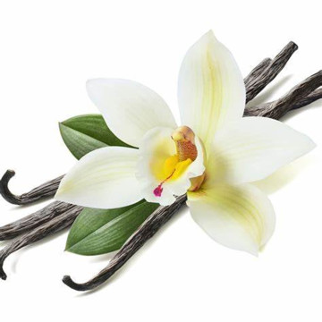 Private Label Vanilla essential oil