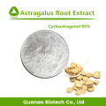 High Quality Astragalus Root Extract Powder 10:1