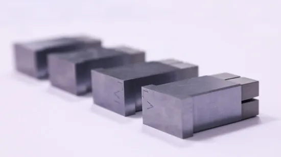 Precision Core Insert | Injection Mold Cavity Component