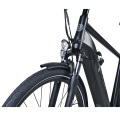 XY-Altus affordable electric bicycles for adult