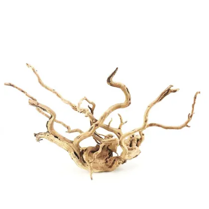 Natural Driftwood for Fish Tanks: Aquarium Decorations and Plants