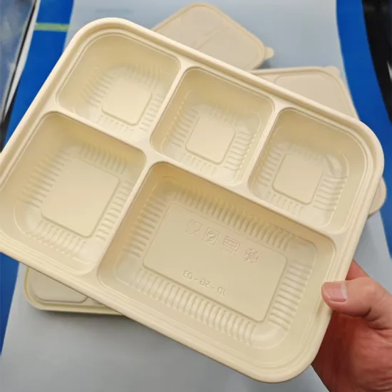 Corn starch sheet disposable food lunch box