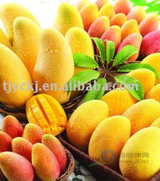 Mango Flavor (HongMei)