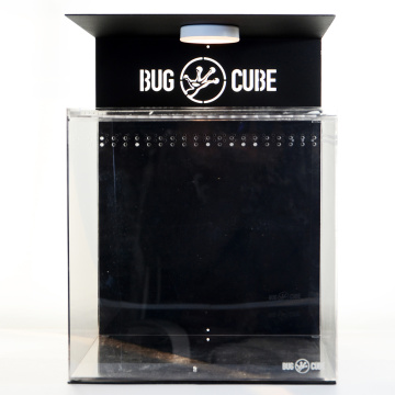 Caixa de criação de lagartos acrílicos de tamanho personalizável