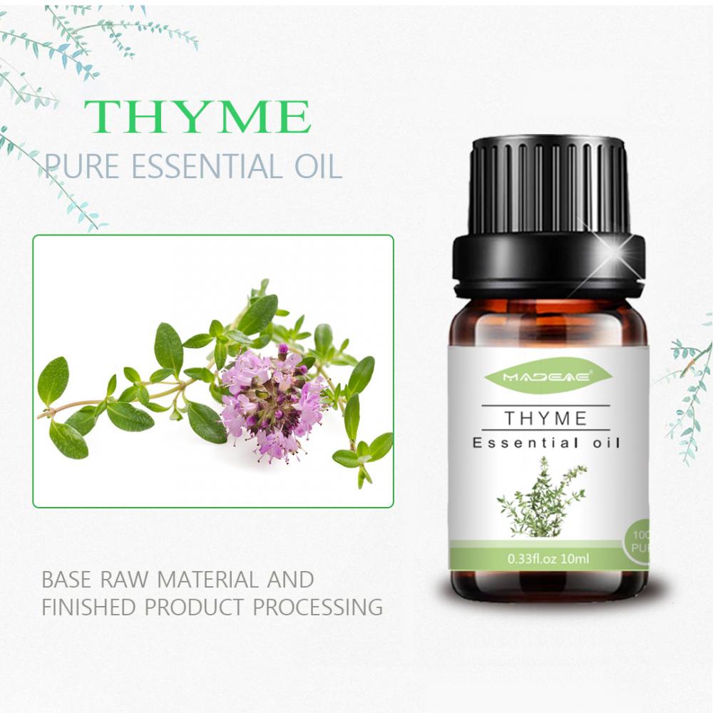 Bulk Wholesale factory Thyme essential Oil for body