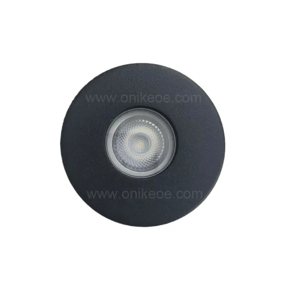 Black 316L Stainless Steel IP67 IK10 2.5W AC/DC12V LED Inground Light