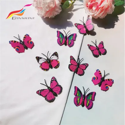 Girls' Shoe Lace Decorations: Charm Butterflies and Elegant Shoelace Accessories