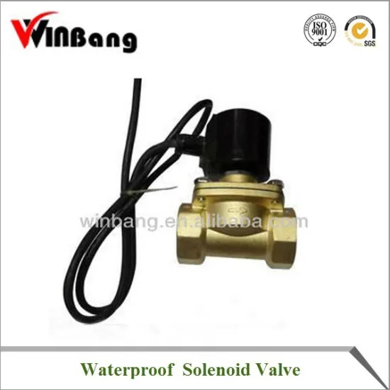 2A Series Direct Acting Waterproof Solenoid Valve