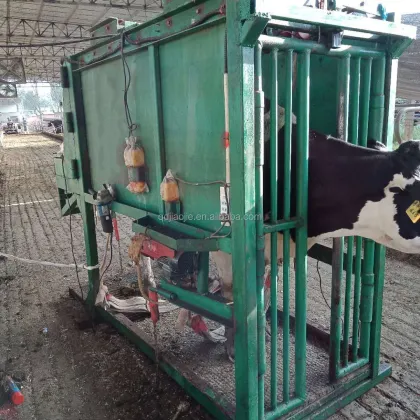 Repairing Hoof Equipment for Cows and Cattle