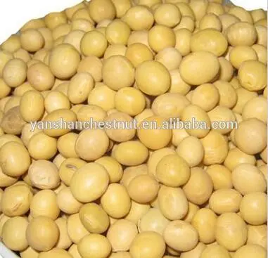 Organic Soybean with Nutritional value yellow soy beans