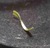 S shape grass
